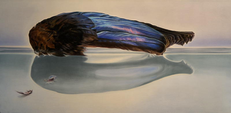 Little Wing,  oil and alkyd on canvas, 24"h x 48"w, $3300.00Cdn