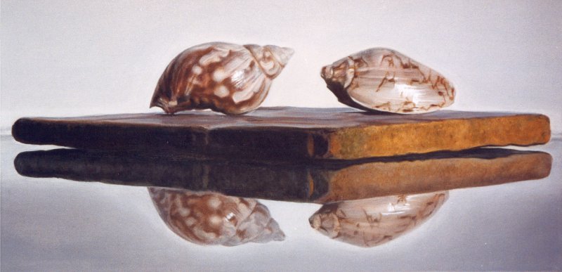 SMALL SHELLS, oil & alkyd on canvas, 12 in. H x 24 in. W, SOLD