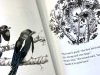 TWO MAGPIES, sample3