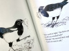 TWO MAGPIES, sample4