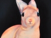 INNER LIGHT, DAY BUNNY, oil & alkyd on canvas, $1500.00Cdn