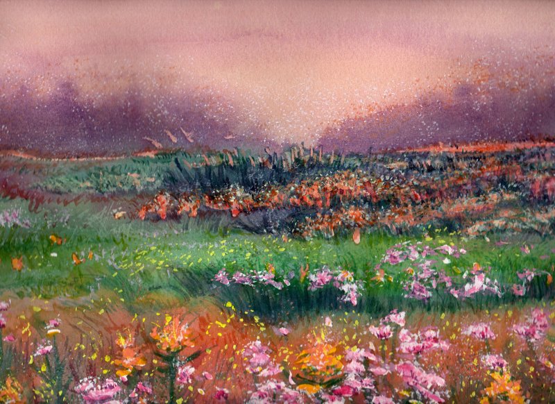 SPRING FIELD MORNING, watercolour on 140 lb. CP,10 1/2 IN. H X 14 IN. W