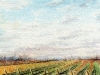 FALL BURN, watercolour on 140lb. CP, 5 1/2 IN H X 7 IN. W
