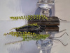 Fern, Fallen