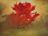 FLOATING BEGONIA, oil & alkyd on canvas, 20 in. H x 28 in. W, $ 2000.00Cdn