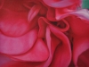 GERANIUM, oil & alkyd on canvas, 20 in. H x 28 in. W, $2000.00Cdn