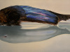 Little Wing,  oil and alkyd on canvas, 24"h x 48"w, $3300.00Cdn