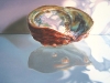ABALONE, oil & alkyd on canvas, 30 in. H x 40 in. W, SOLD