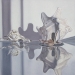 CONCH SHELLS, oil & alkyd on canvas, 30 in. x 30 in., SOLD