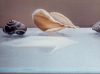 TIME & AGAIN, oil & alkyd on canvas, 12 in. H x 36 in. W, $1600.00Cdn