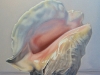 COLOSSE, oil & alkyd on canvas, 48 in. H x 24 in. W, $3300.00Cdn