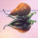 SINGLE BOSC, oil & alkyd on canvas, 12 in. x 12 in., SOLD