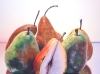 THREE VARIETIES, oil & alkyd on canvas, 48 in. H x 36 in. W, $5000.00Cdn